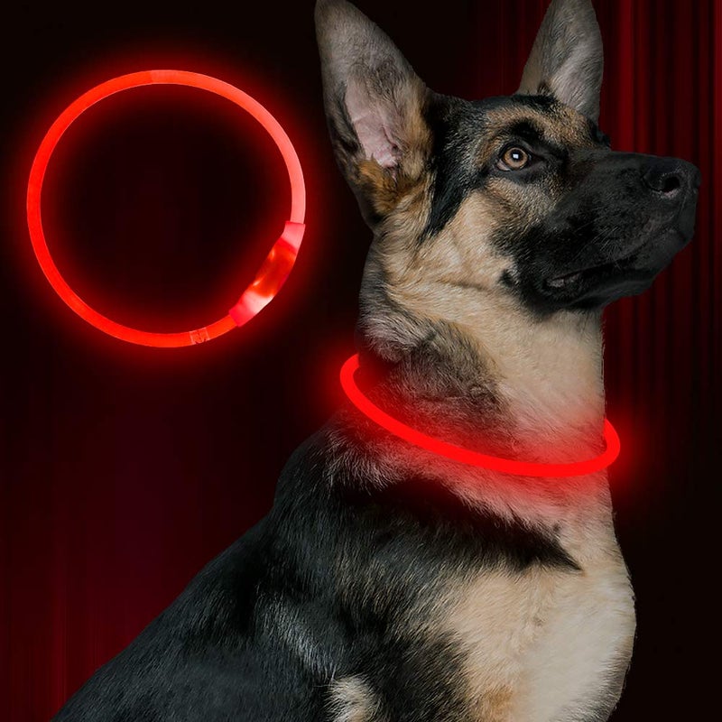 BSEEN Led Dog Collar, BSEEN USB Rechargeable Flash Dog Necklace Light, Pet Safety Collar Makes Your Beloved Dogs Be Seen at Night for Small Medium Large Dogs(Red) - Image 1